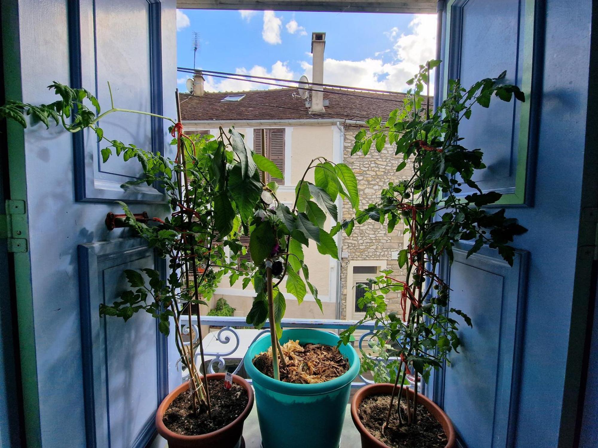Apartmán Chez Mamichou Moret-sur-Loing Exteriér fotografie